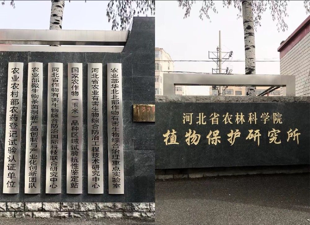 河北安國(guó)：富勒烯科技賦能，實(shí)現(xiàn)有機(jī)中藥材種植